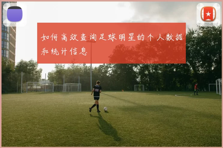 如何高效查询足球明星的个人数据和统计信息