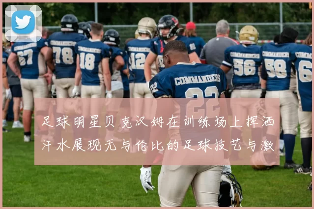 足球明星贝克汉姆在训练场上挥洒汗水展现无与伦比的足球技艺与激情