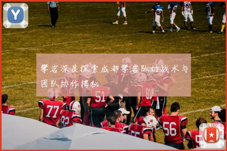 攀岩深度探索成都攀岩队的战术与团队协作揭秘