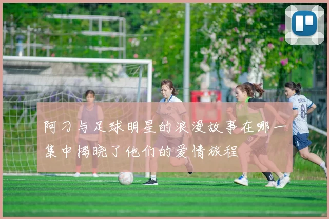 阿刁与足球明星的浪漫故事在哪一集中揭晓了他们的爱情旅程