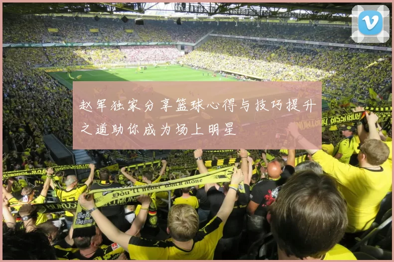 赵军独家分享篮球心得与技巧提升之道助你成为场上明星