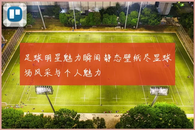 足球明星魅力瞬间静态壁纸尽显球场风采与个人魅力