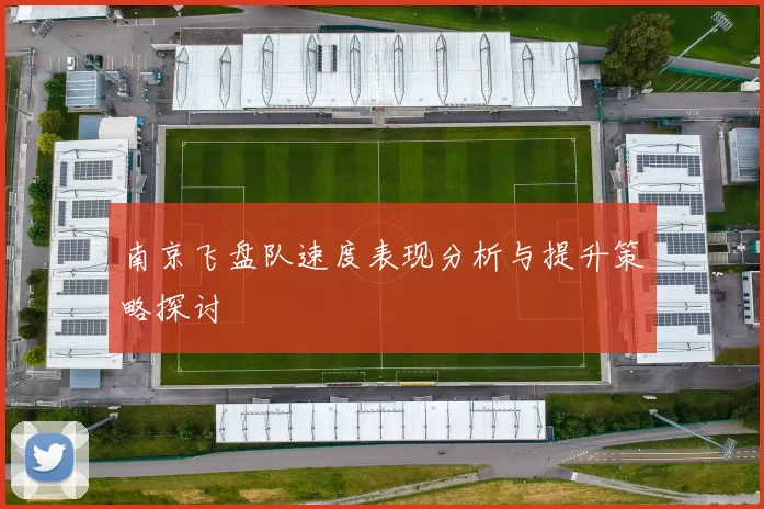 南京飞盘队速度表现分析与提升策略探讨