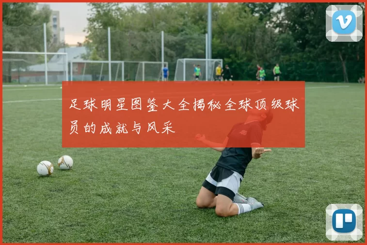 足球明星图鉴大全揭秘全球顶级球员的成就与风采