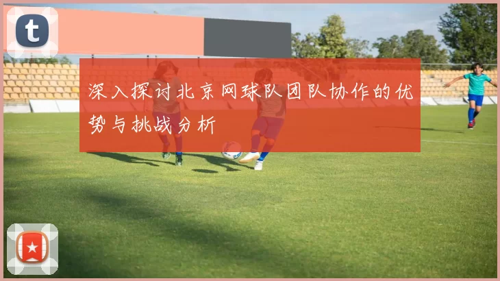 深入探讨北京网球队团队协作的优势与挑战分析