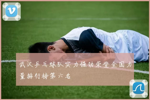 武汉乒乓球队实力强劲荣登全国力量排行榜第六名