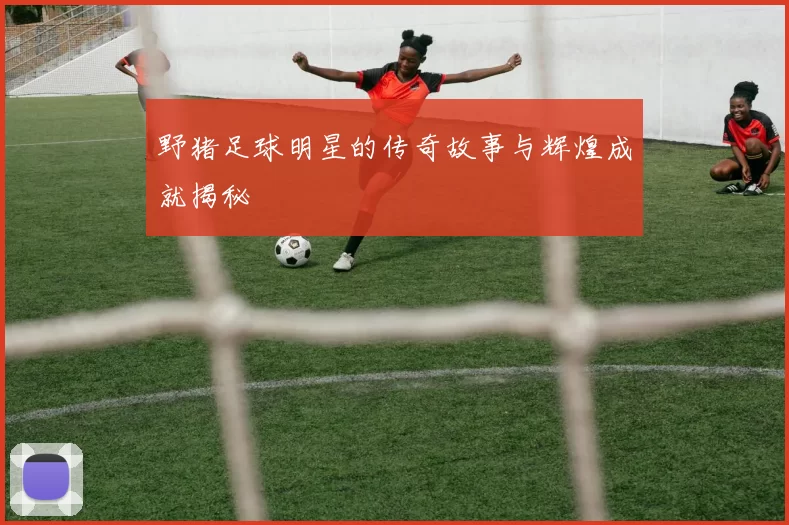 野猪足球明星的传奇故事与辉煌成就揭秘