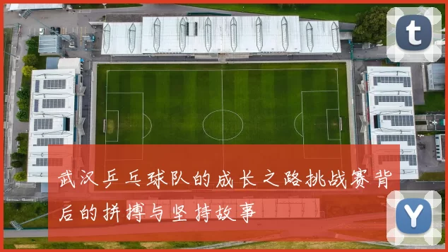 武汉乒乓球队的成长之路挑战赛背后的拼搏与坚持故事