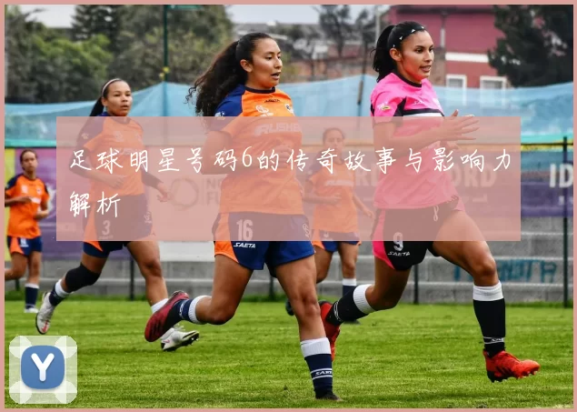 足球明星号码6的传奇故事与影响力解析