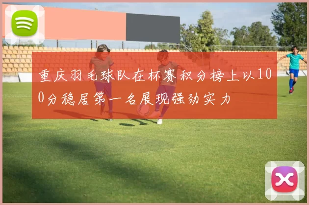 重庆羽毛球队在杯赛积分榜上以100分稳居第一名展现强劲实力