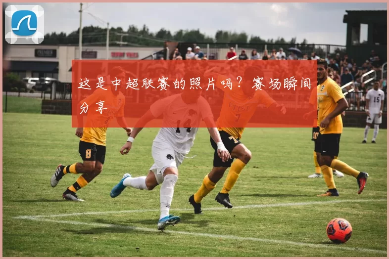 这是中超联赛的照片吗？赛场瞬间分享