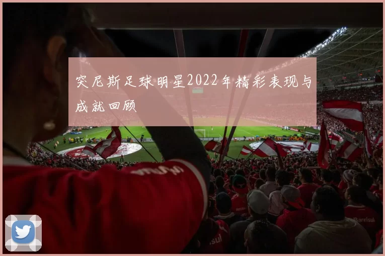 突尼斯足球明星2022年精彩表现与成就回顾