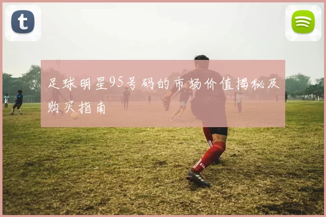 足球明星95号码的市场价值揭秘及购买指南