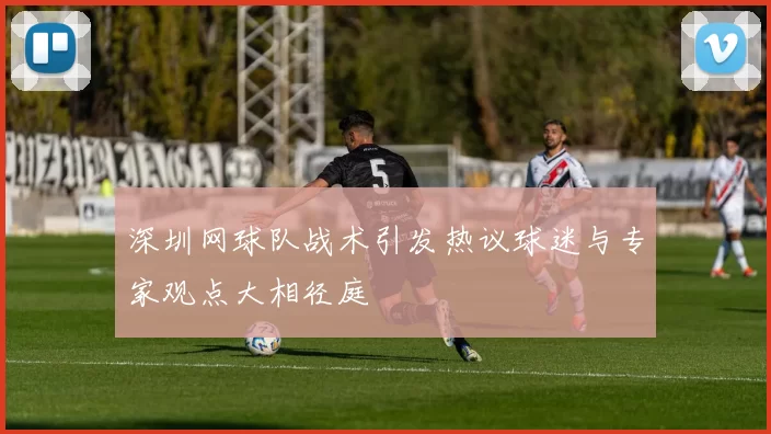 深圳网球队战术引发热议球迷与专家观点大相径庭