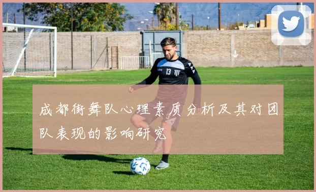 成都街舞队心理素质分析及其对团队表现的影响研究