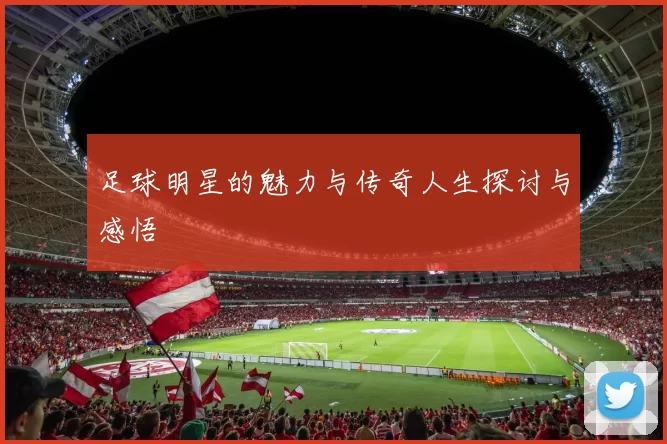 足球明星的魅力与传奇人生探讨与感悟