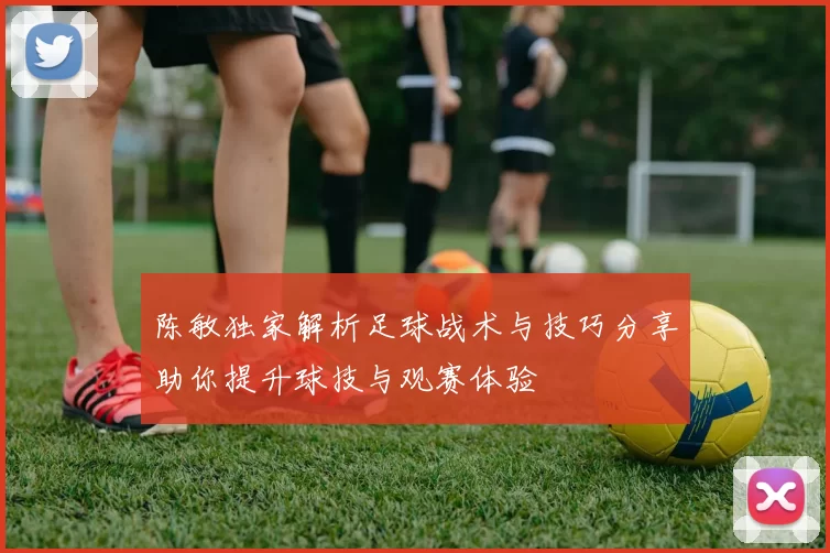 陈敏独家解析足球战术与技巧分享助你提升球技与观赛体验