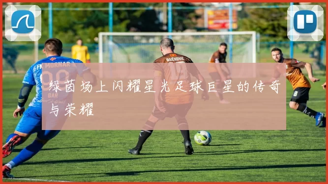 绿茵场上闪耀星光足球巨星的传奇与荣耀