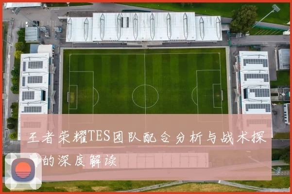 王者荣耀TES团队配合分析与战术探讨的深度解读