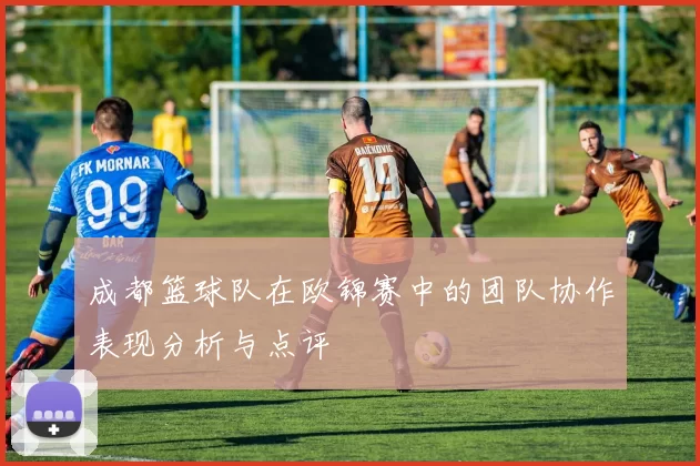 成都篮球队在欧锦赛中的团队协作表现分析与点评