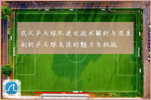 武汉乒乓球队进攻战术解析与深度剖析乒乓球竞技的魅力与挑战