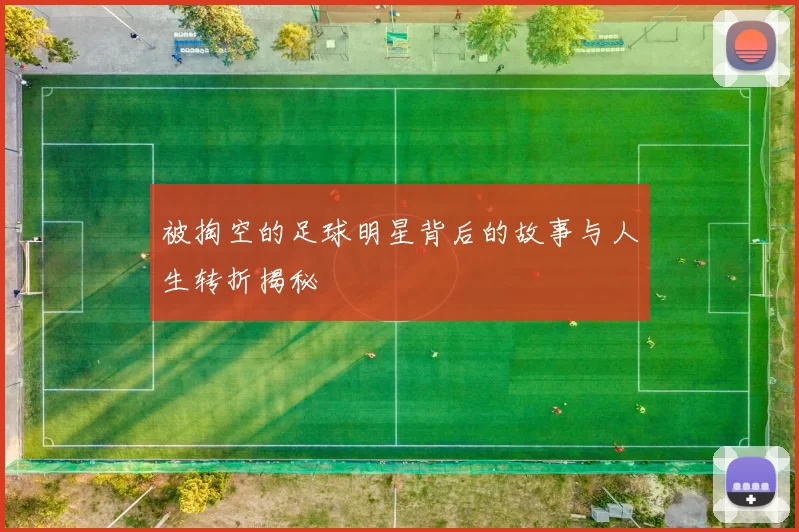 被掏空的足球明星背后的故事与人生转折揭秘