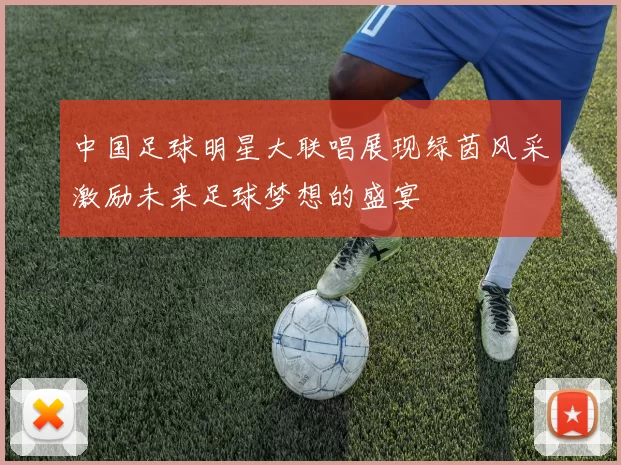 中国足球明星大联唱展现绿茵风采激励未来足球梦想的盛宴