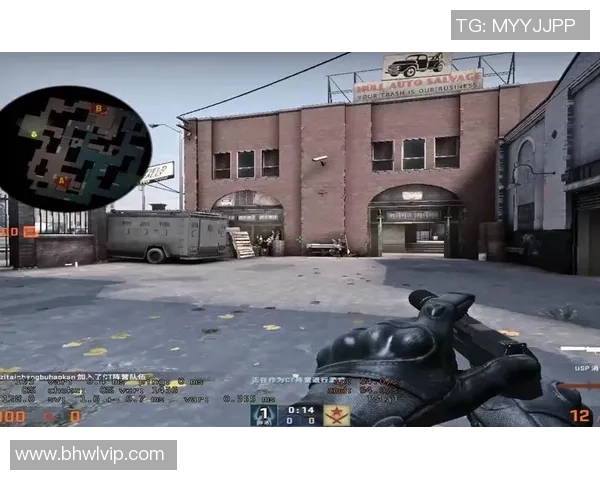 刘娜专访:从新手到高手的CSGO成长之路与心路历程分享 刘娜专访:从新手到高手的CSGO成长之路与心路历程分享