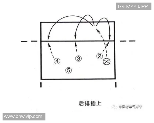 成都排球队反击战术解析与未来发展展望